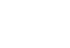 dall adige logo bianco